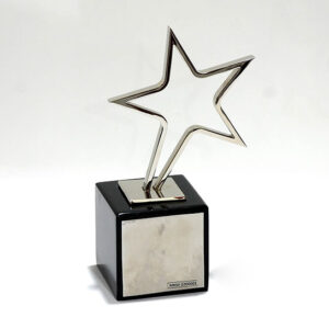 metal star awards for health care.