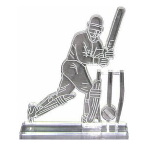 Premium cricket awards